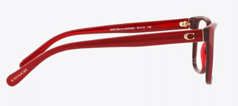 Screenshot 2024-03-30 002722